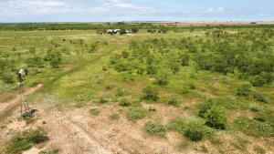 1818 County Road 267 (11)