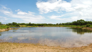 1818 County Road 267 (12)