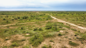 1818 County Road 267 (14)