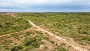 1818 County Road 267 (15)