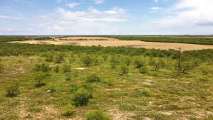 1818 County Road 267 (16)