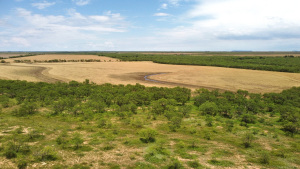1818 County Road 267 (17)