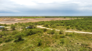 1818 County Road 267 (18)