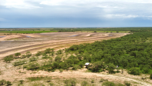 1818 County Road 267 (19)