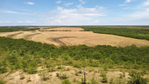 1818 County Road 267 (21)