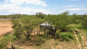 1818 County Road 267 (22)