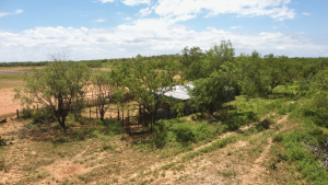 1818 County Road 267 (23)