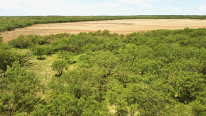 1818 County Road 267 (26)