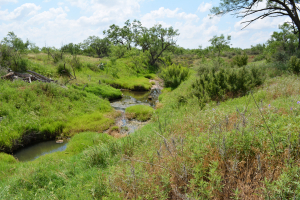 Bronte, Texas 76933 (2)