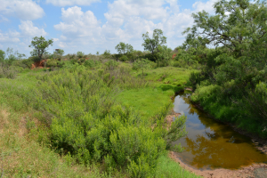 Bronte, Texas 76933 (5)