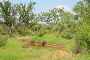 Bronte, Texas 76933 (7)