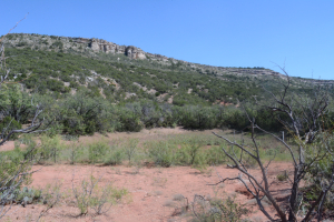 HWY 208 (2)