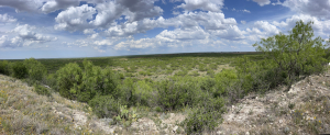 5703-5717 County Road 287 (21)