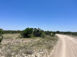 Hwy 190 (21)