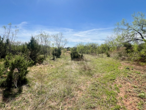 Mitchell County Rd (19)