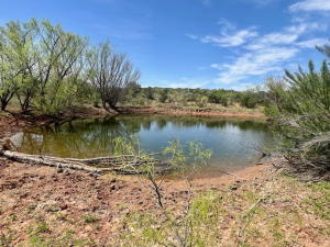 Mitchell County Rd (20)