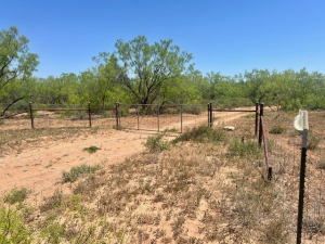 Mitchell County Rd (22)