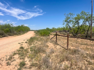 Mitchell County Rd (23)