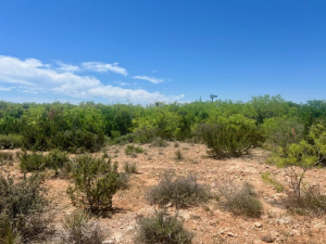 Mitchell County Rd (25)