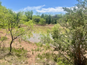 Mitchell County Rd (26)