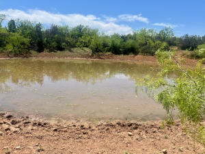 Mitchell County Rd (27)