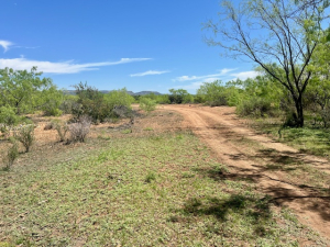 Mitchell County Rd (30)