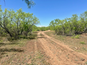Mitchell County Rd (31)
