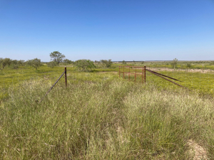 586 County Road 400 (2)