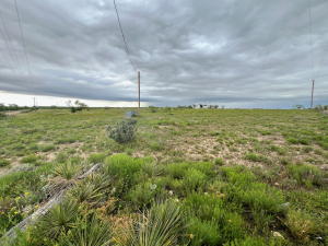 1818 County Road 267 (29)