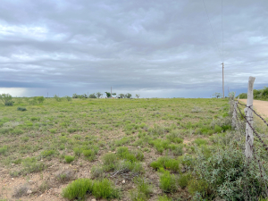 1818 County Road 267 (30)