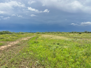 1818 County Road 267 (48)