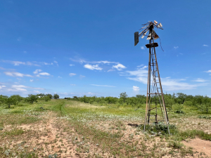 1818 County Road 267 (50)