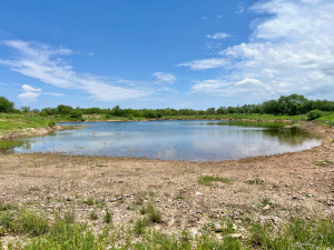 1818 County Road 267 (52)