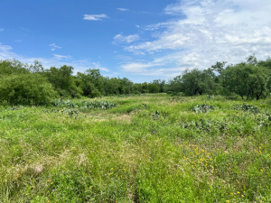 1818 County Road 267 (55)