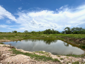 1818 County Road 267 (59)