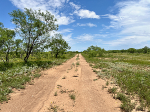 1818 County Road 267 (60)