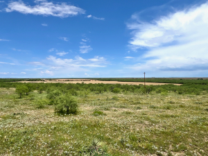 1818 County Road 267 (61)