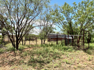 1818 County Road 267 (65)