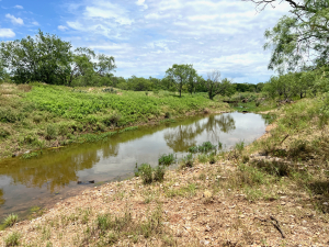 1818 County Road 267 (66)