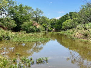 1818 County Road 267 (67)