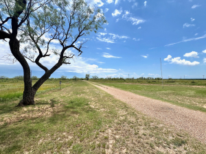 1818 County Road 267 (69)