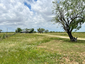 1818 County Road 267 (70)