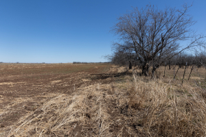 VERIBEST PARK RD (7)
