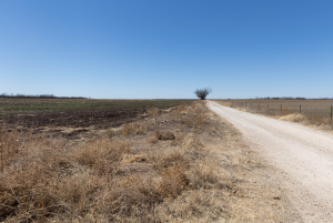 VERIBEST PARK RD (13)