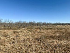Hwy 158 (9)