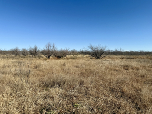 Hwy 158 (11)