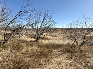 Hwy 158 (13)