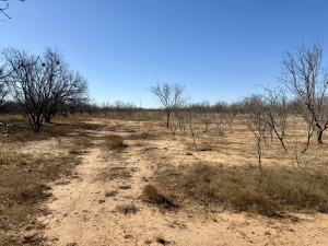 Hwy 158 (14)
