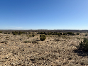 Hwy 158 (19)
