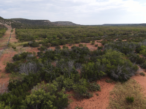 15655 US HWY 277N (5)